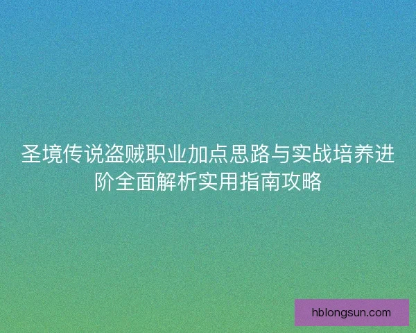 圣境传说盗贼职业加点思路与实战培养进阶全面解析实用指南攻略
